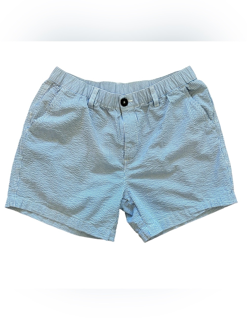 Men’s Chubbies Shorts NWOT-Large